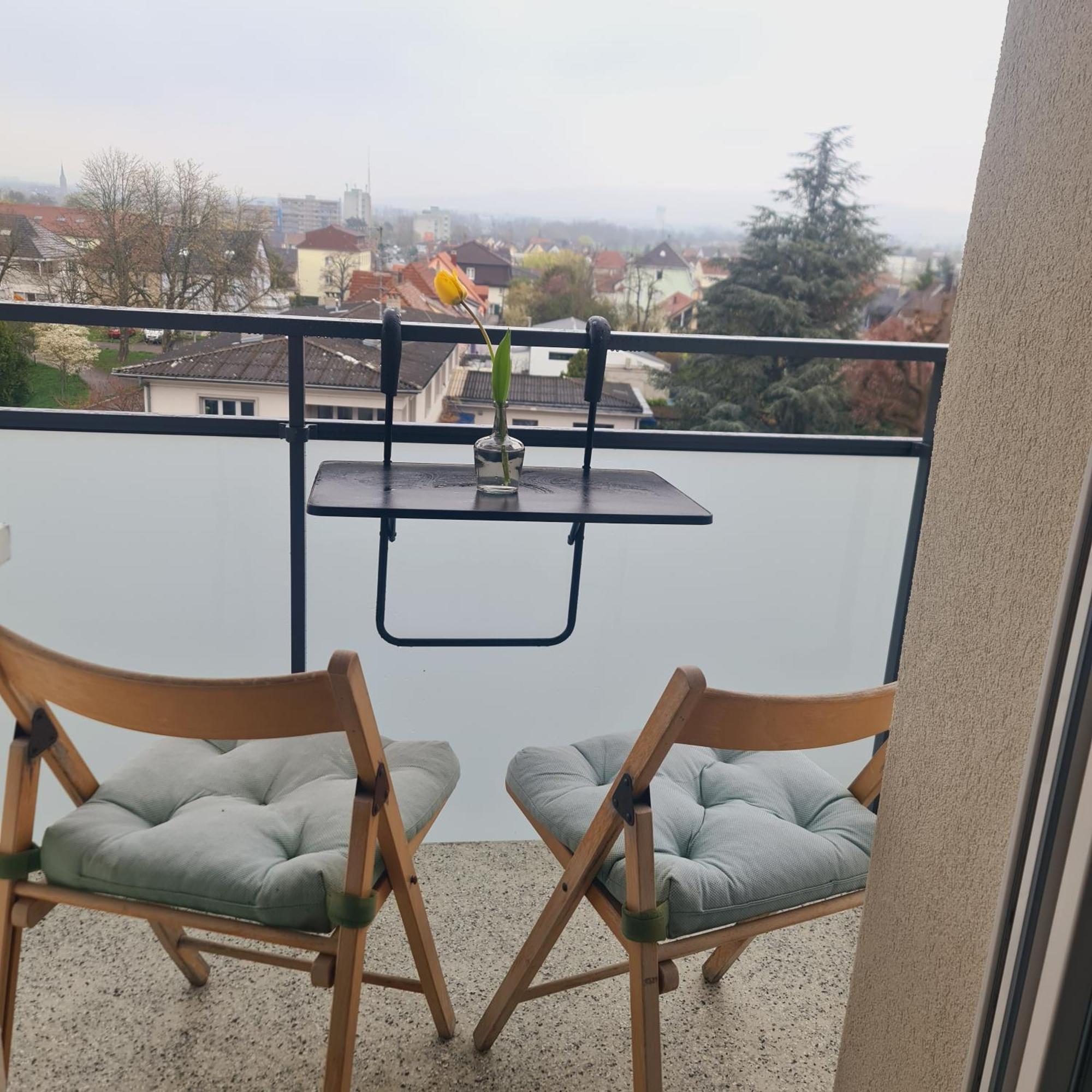 Studio Kaan Avec Terasse 5Mn Basel Airport Saint-Louis (Haut-Rhin) Exterior foto
