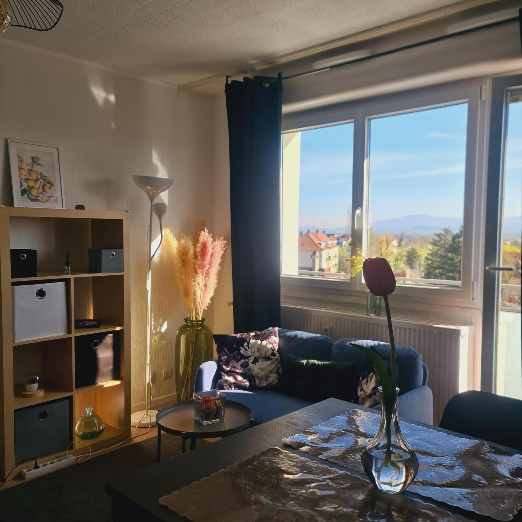 Studio Kaan Avec Terasse 5Mn Basel Airport Saint-Louis (Haut-Rhin) Exterior foto